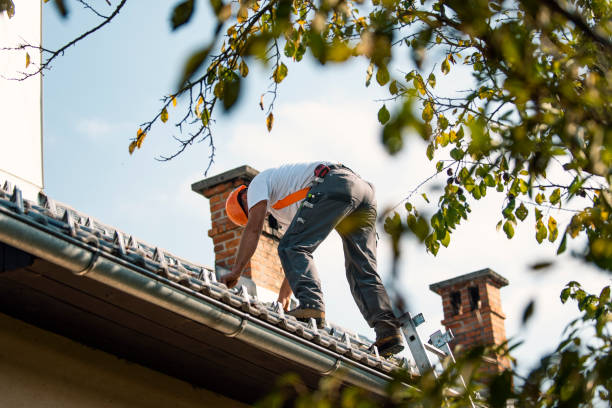 Best Local Roofing Companies  in Chrisman, IL