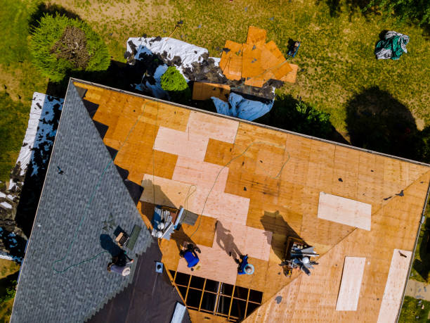 Best Affordable Roofing Company  in Chrisman, IL