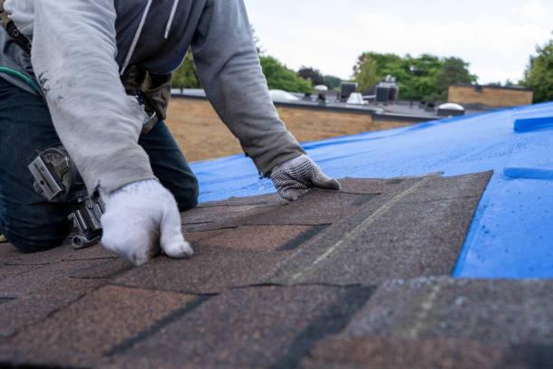 Best Roof Inspection Near Me  in Chrisman, IL