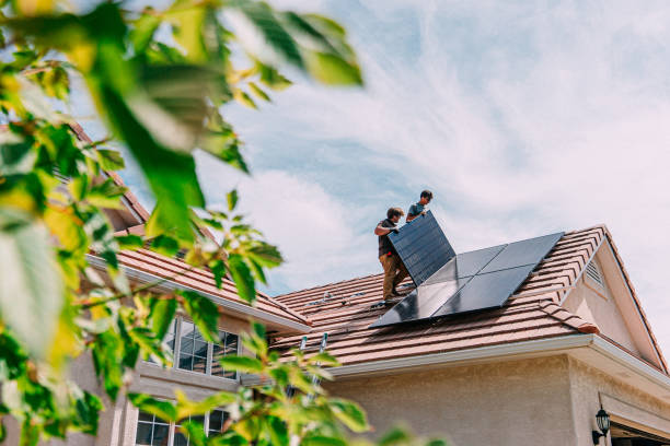 Best Roof Gutter Cleaning  in Chrisman, IL